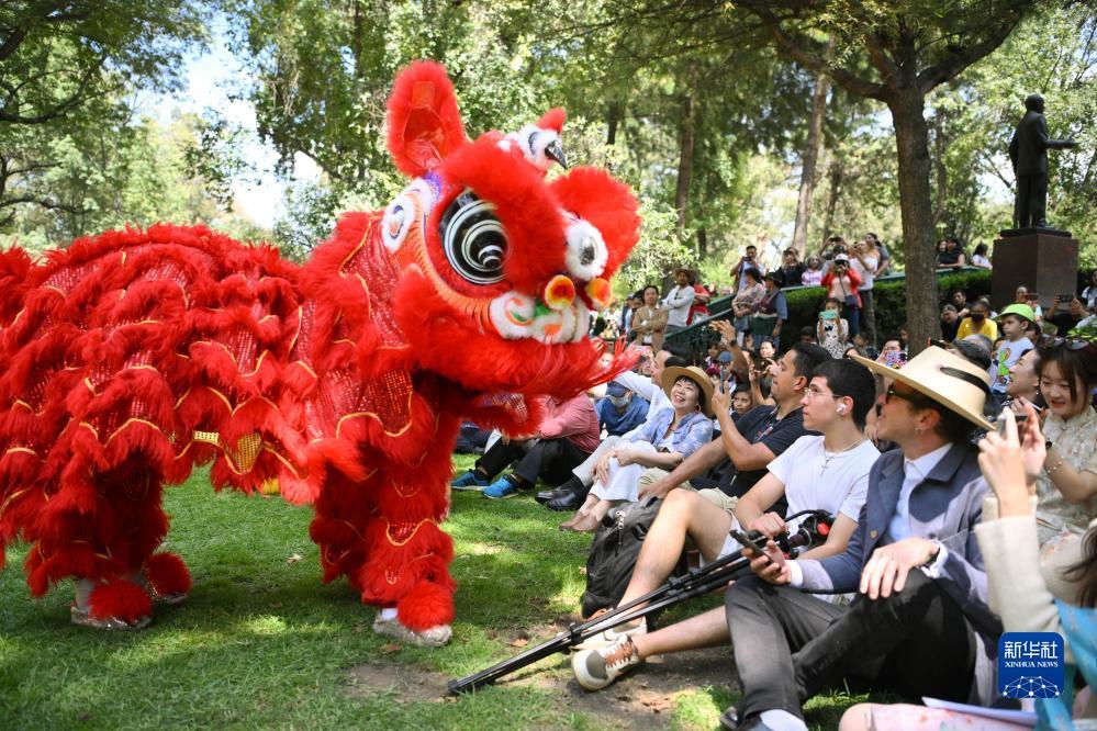 一号庄下载
